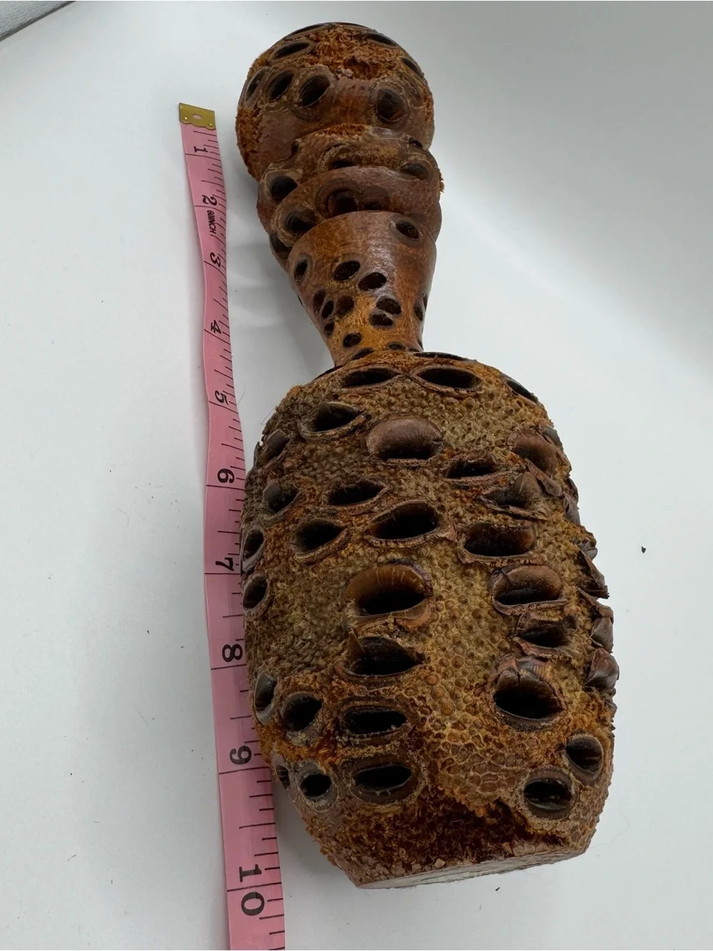 Vintage 1990 Banksia Pod Vase Turned Wood Seed Cone Bottle Studio Art MCM Brutal